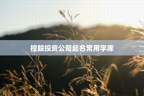 控股投资公司起名常用字库