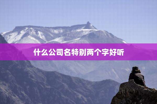 什么公司名特别两个字好听