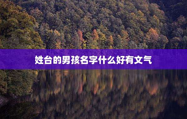 姓台的男孩名字什么好有文气