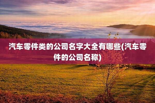 汽车零件类的公司名字大全有哪些(汽车零件的公司名称)