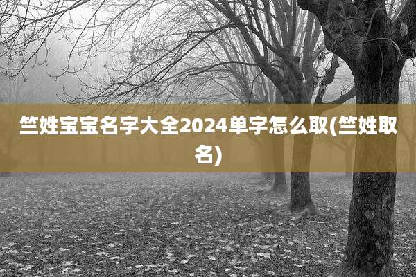 竺姓宝宝名字大全2024单字怎么取(竺姓取名)