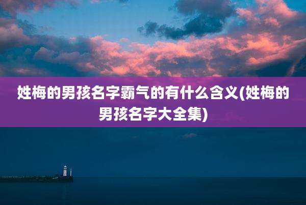 姓梅的男孩名字霸气的有什么含义(姓梅的男孩名字大全集)
