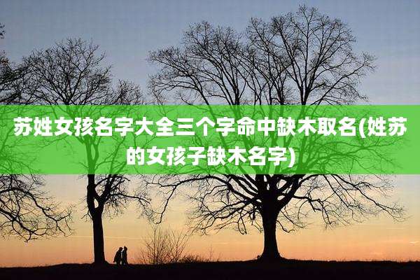 苏姓女孩名字大全三个字命中缺木取名(姓苏的女孩子缺木名字)
