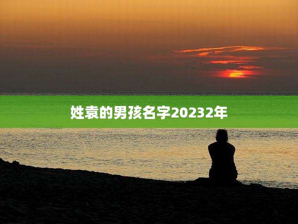姓袁的男孩名字20232年