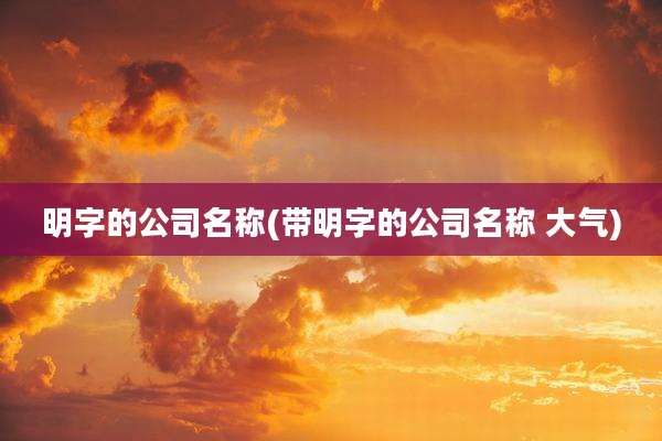 明字的公司名称(带明字的公司名称 大气)