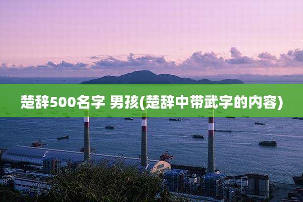 楚辞500名字 男孩(楚辞中带武字的内容)