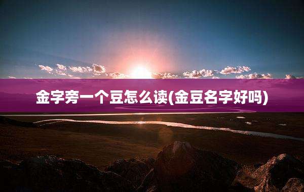 金字旁一个豆怎么读(金豆名字好吗)