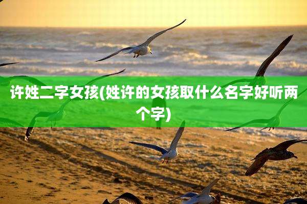 许姓二字女孩(姓许的女孩取什么名字好听两个字)