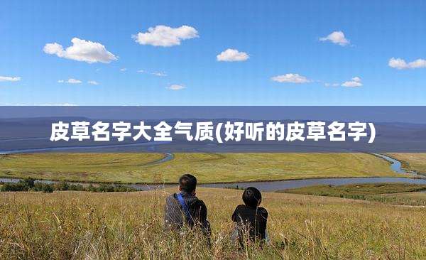皮草名字大全气质(好听的皮草名字)