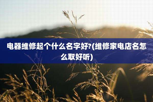 电器维修起个什么名字好?(维修家电店名怎么取好听)