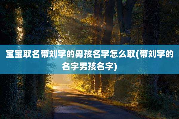 宝宝取名带刘字的男孩名字怎么取(带刘字的名字男孩名字)