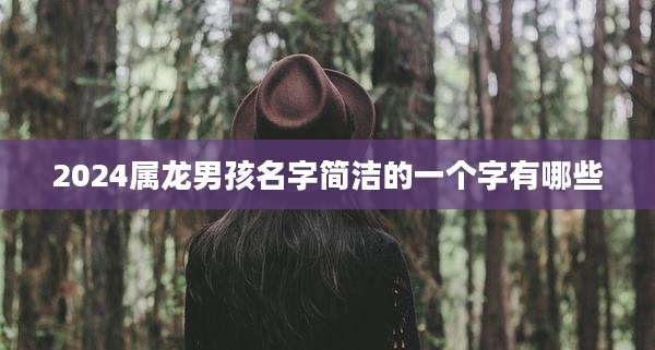 2024属龙男孩名字简洁的一个字有哪些