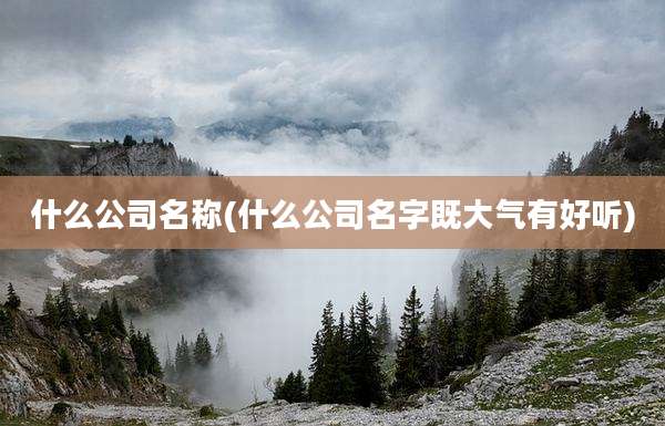 什么公司名称(什么公司名字既大气有好听)