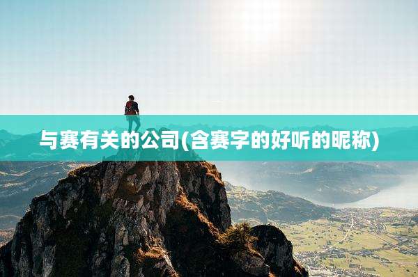 与赛有关的公司(含赛字的好听的昵称)