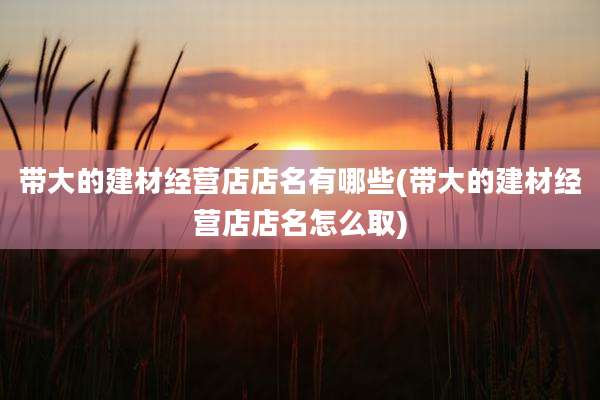 带大的建材经营店店名有哪些(带大的建材经营店店名怎么取)