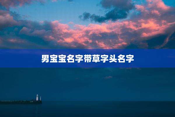 男宝宝名字带草字头名字