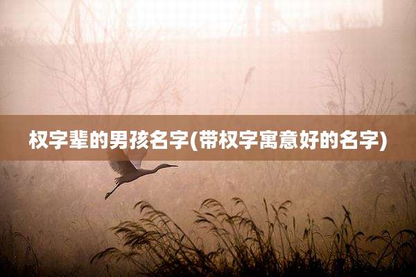 权字辈的男孩名字(带权字寓意好的名字)