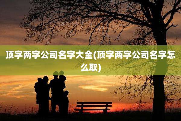 顶字两字公司名字大全(顶字两字公司名字怎么取)