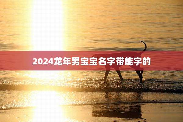 2024龙年男宝宝名字带能字的