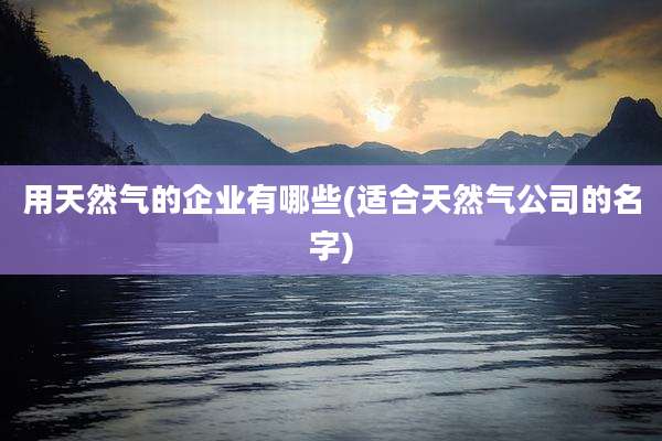 用天然气的企业有哪些(适合天然气公司的名字)