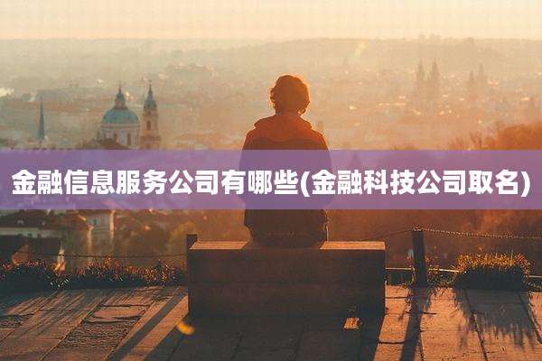 金融信息服务公司有哪些(金融科技公司取名)