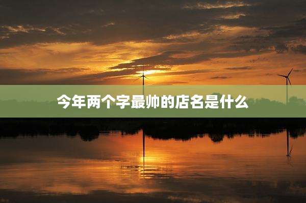 今年两个字最帅的店名是什么