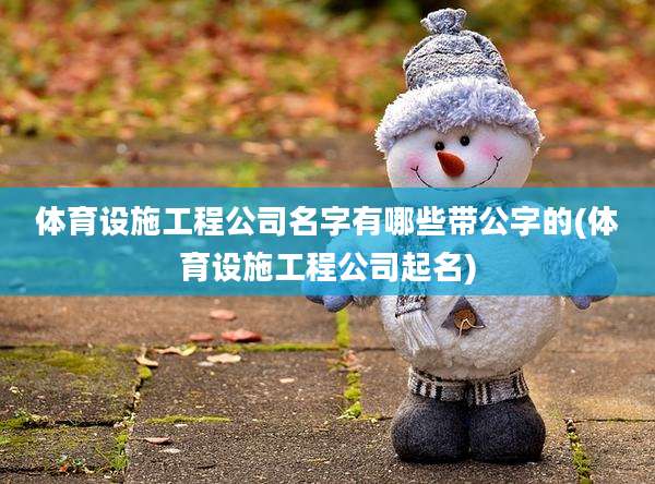体育设施工程公司名字有哪些带公字的(体育设施工程公司起名)