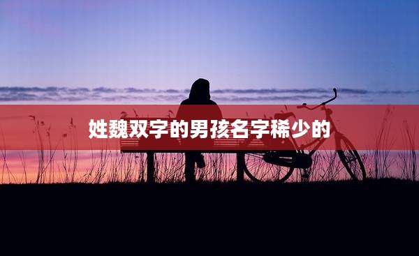 姓魏双字的男孩名字稀少的