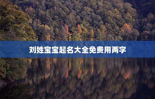 刘姓宝宝起名大全免费用两字