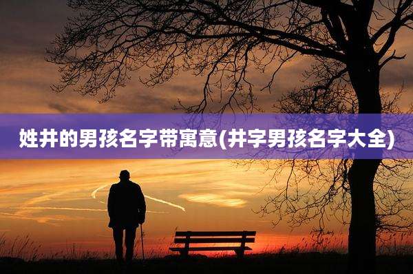 姓井的男孩名字带寓意(井字男孩名字大全)