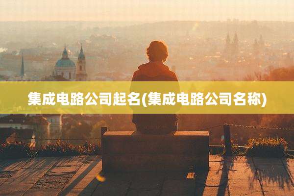 集成电路公司起名(集成电路公司名称)