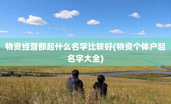 物资经营部起什么名字比较好(物资个体户起名字大全)