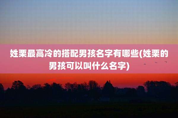 姓栗最高冷的搭配男孩名字有哪些(姓栗的男孩可以叫什么名字)