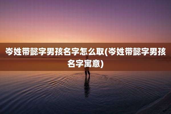 岑姓带懿字男孩名字怎么取(岑姓带懿字男孩名字寓意)