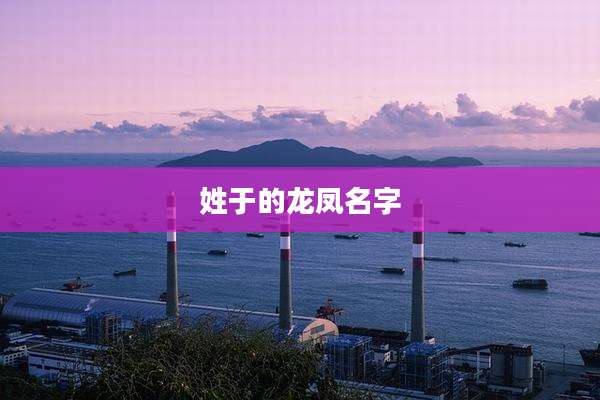 姓于的龙凤名字