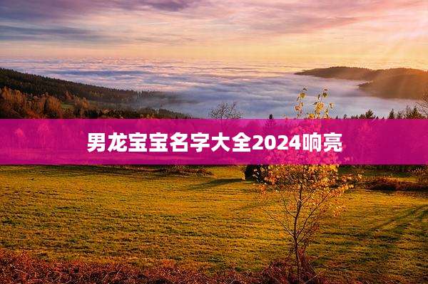 男龙宝宝名字大全2024响亮