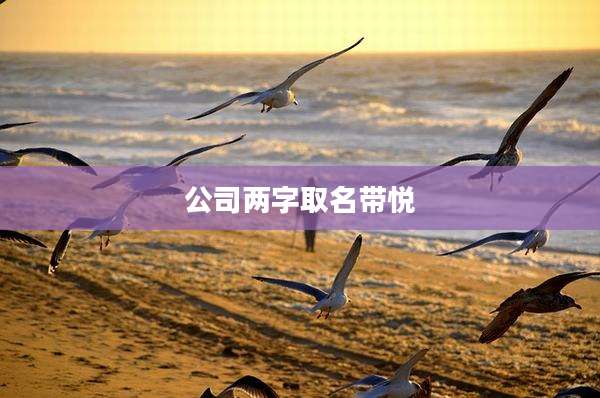 公司两字取名带悦