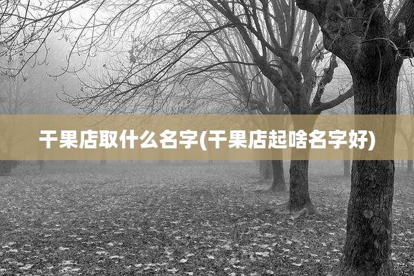 干果店取什么名字(干果店起啥名字好)