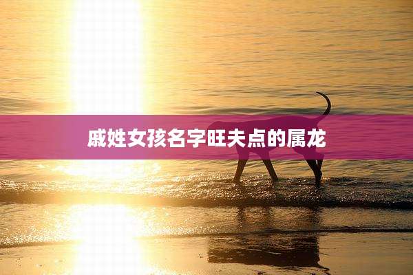 戚姓女孩名字旺夫点的属龙