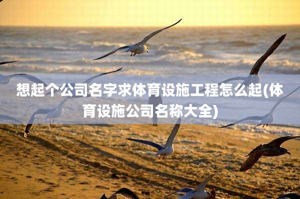 想起个公司名字求体育设施工程怎么起(体育设施公司名称大全)
