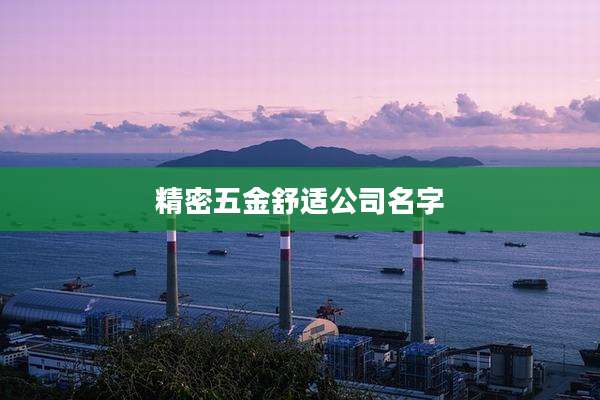 精密五金舒适公司名字