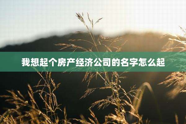 我想起个房产经济公司的名字怎么起
