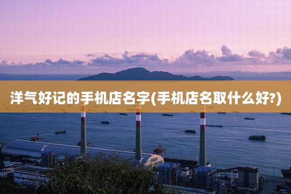 洋气好记的手机店名字(手机店名取什么好?)