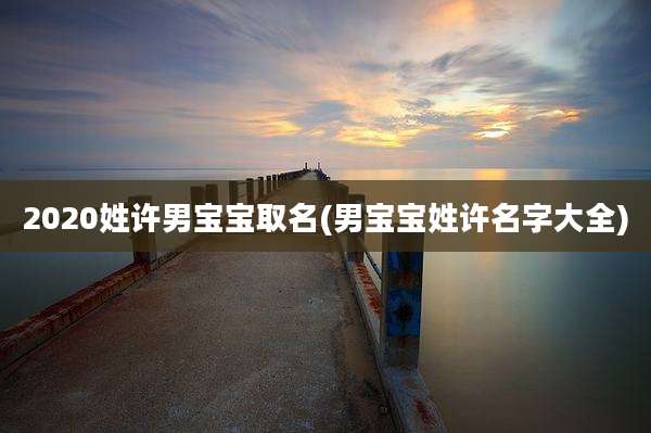 2020姓许男宝宝取名(男宝宝姓许名字大全)