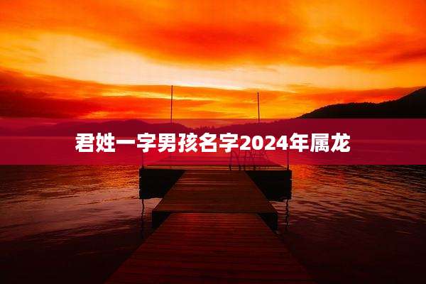 君姓一字男孩名字2024年属龙