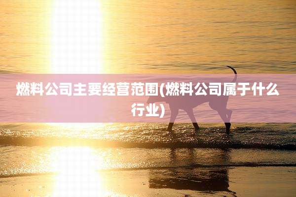 燃料公司主要经营范围(燃料公司属于什么行业)