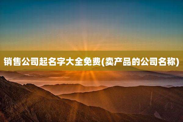 销售公司起名字大全免费(卖产品的公司名称)