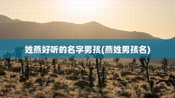 姓燕好听的名字男孩(燕姓男孩名)