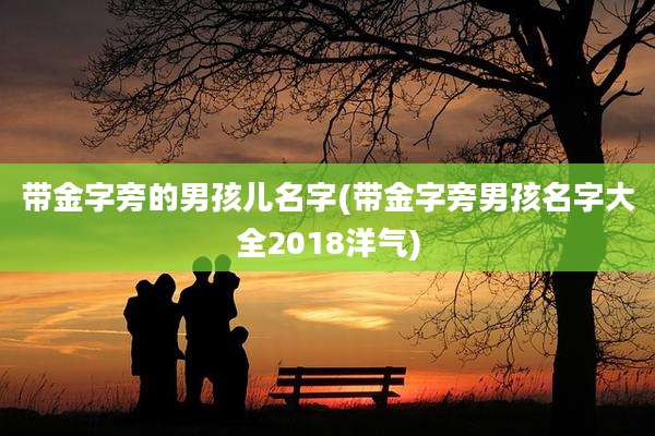 带金字旁的男孩儿名字(带金字旁男孩名字大全2018洋气)