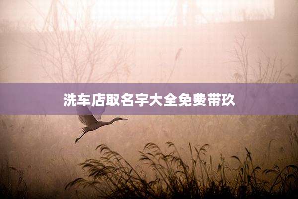 洗车店取名字大全免费带玖